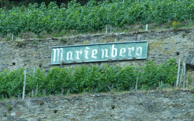 Weinerlebnis im Gülser Marienberg